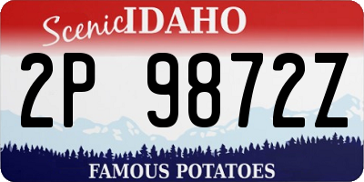 ID license plate 2P9872Z