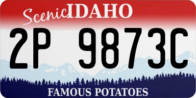 ID license plate 2P9873C
