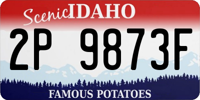 ID license plate 2P9873F
