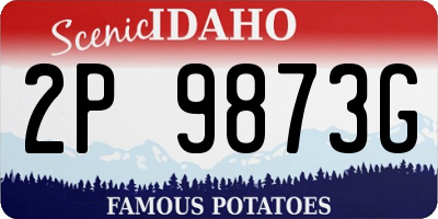 ID license plate 2P9873G