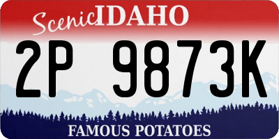 ID license plate 2P9873K