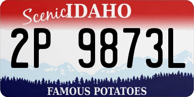 ID license plate 2P9873L