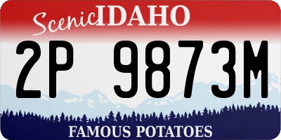 ID license plate 2P9873M