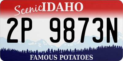 ID license plate 2P9873N