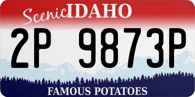 ID license plate 2P9873P