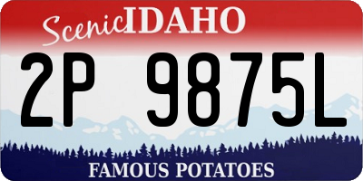 ID license plate 2P9875L