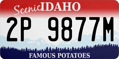 ID license plate 2P9877M
