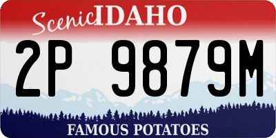 ID license plate 2P9879M