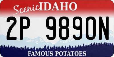 ID license plate 2P9890N