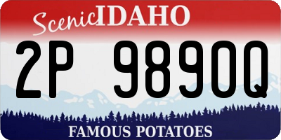 ID license plate 2P9890Q
