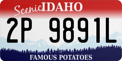 ID license plate 2P9891L