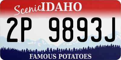 ID license plate 2P9893J