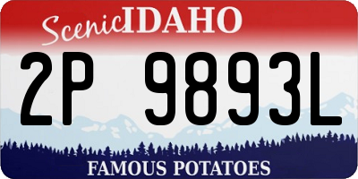 ID license plate 2P9893L