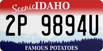 ID license plate 2P9894U
