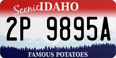ID license plate 2P9895A