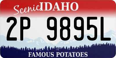 ID license plate 2P9895L