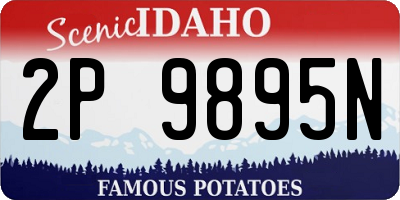 ID license plate 2P9895N