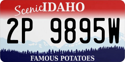 ID license plate 2P9895W