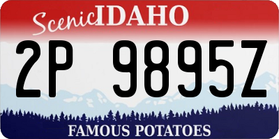 ID license plate 2P9895Z