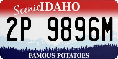 ID license plate 2P9896M