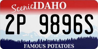 ID license plate 2P9896S
