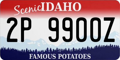 ID license plate 2P9900Z