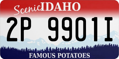 ID license plate 2P9901I