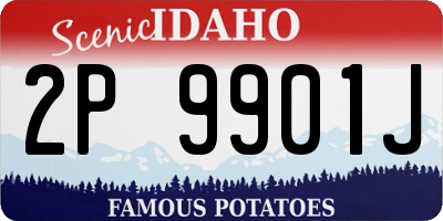 ID license plate 2P9901J