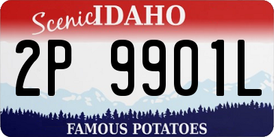 ID license plate 2P9901L