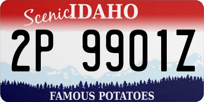 ID license plate 2P9901Z