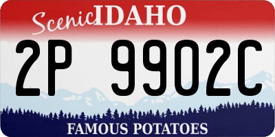 ID license plate 2P9902C