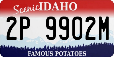 ID license plate 2P9902M