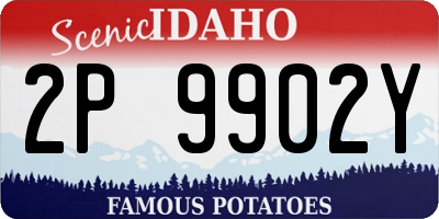 ID license plate 2P9902Y