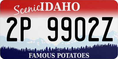 ID license plate 2P9902Z