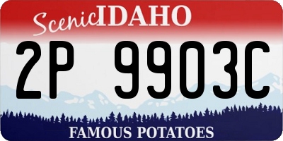 ID license plate 2P9903C