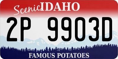 ID license plate 2P9903D