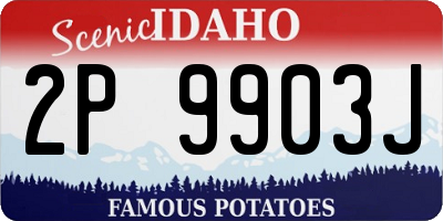 ID license plate 2P9903J