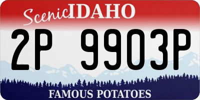 ID license plate 2P9903P