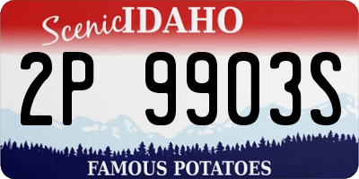 ID license plate 2P9903S