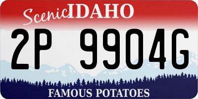 ID license plate 2P9904G