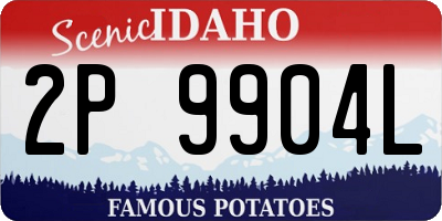 ID license plate 2P9904L