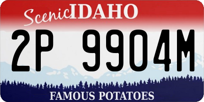 ID license plate 2P9904M
