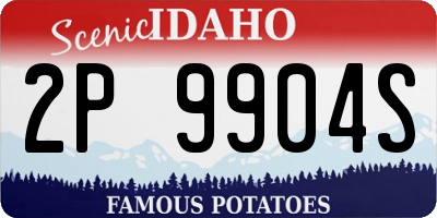 ID license plate 2P9904S