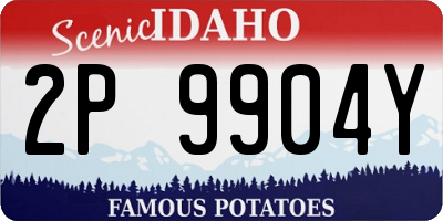 ID license plate 2P9904Y