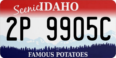 ID license plate 2P9905C
