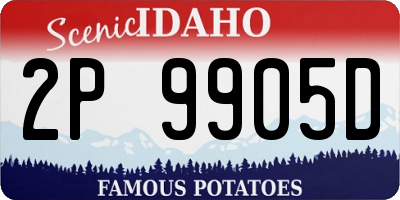 ID license plate 2P9905D