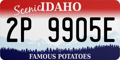 ID license plate 2P9905E