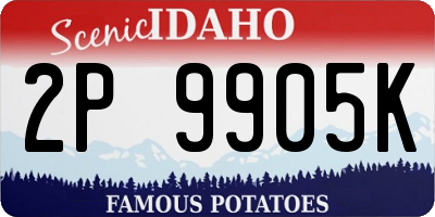 ID license plate 2P9905K