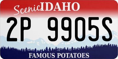 ID license plate 2P9905S