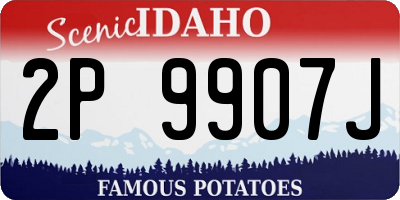 ID license plate 2P9907J